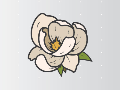 Magnolia illustration