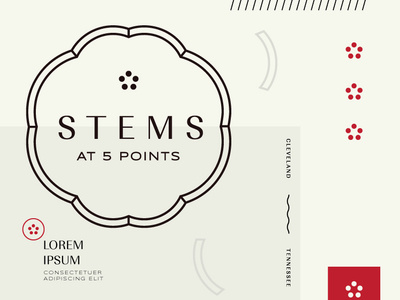 Stems initial option A branding flower shop identity logo