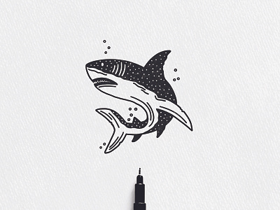 SHARK drawing hand drawn illustration pen shark sunday vintage