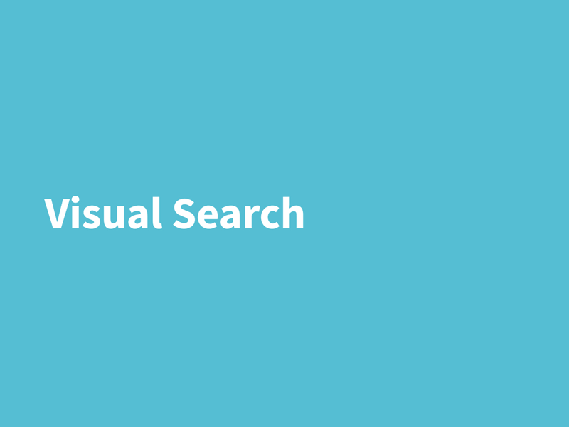 Visual Search abstract after effects animation blue copy design facts gif infographic morph motion graphics reveal text transition visual