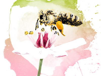 Sweet as a Honey Bee adobe photoshop digital art digital illustration honey bee honey bees illustration mother nature natural nature negative space spacial art