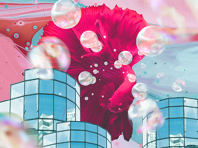 Living In A Fishbowl album cover digital art image manipulation photoshop art photoshopping vibrant wallpaper