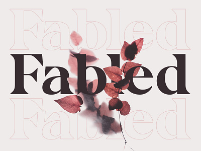 Kabra Typeface fashion font logo magazine serif typeface typography