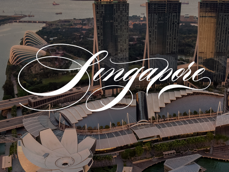 Singapore - Calligraphy x Photo flourishing typography design procreate traditional script copperplate spencerian lettering script calligraphy singapore