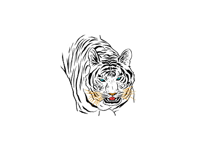 White Bengal Tiger Illustration