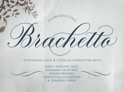 Brachetto Script Font blogging font brush calligraphy brushlettering calligraphy calligraphy font calligraphy fonts copperplate cyrillic script font elegant font flourishing font formal font luxury font russian script font script font script fonts script typeface traditional script typeface typeface design typography