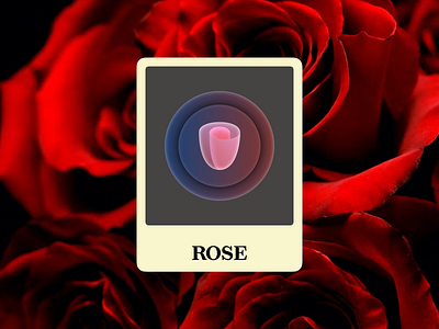 ROSE ILLUSTRATION