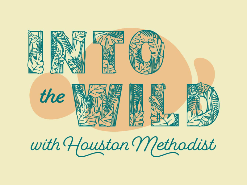 Into the Wild brand identity graphic designer graphic design wild houston zoo branding type typography