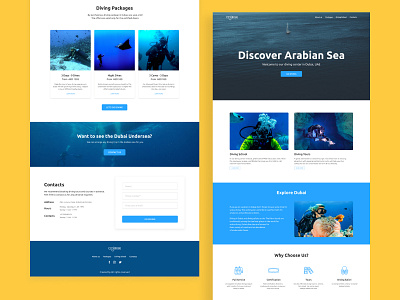 Dive Dubai School Landing Page by shabil B H on Dribbble