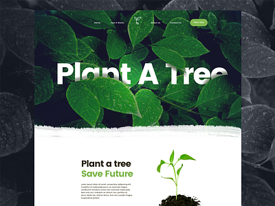 Plant A Tree Website clean green leaves modern plant tree ui website white