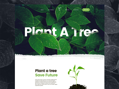 Plant A Tree Website