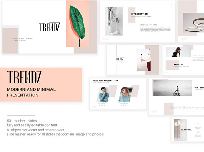 TRENDZ Modern Presentation Template agency business clean concept corporate creative development elegant minimal modern multipurpose powerpoint presentation professional simple template templates web design web development website