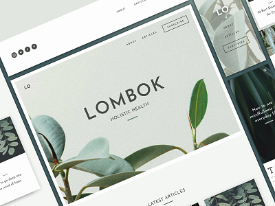 Lombok - Website Template blog blog template blog websites template theme travel blog template ui kit web template web theme website website template website theme