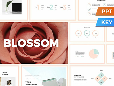 Blossom Presentation Template blossom blossom presentation template branding brochure clean creative elegant keynote marketing minimal modern pitch deck portfolio powerpoint presentation presentation template professional simple startup template