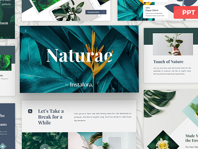 Naturae Powerpoint Presentation barn botanic botany creative desktop farm green leaves minimal minimal powerpoint template minimal style minimal template minimalist nature nature powerpoint presentation nature presentation nature template slide template travel