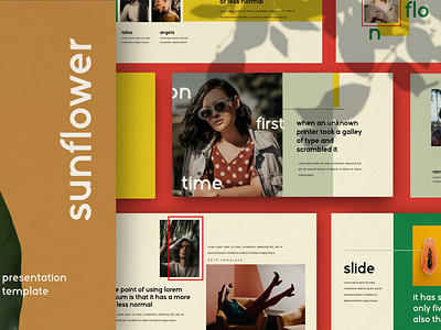 Sunflower Powerpoint By Templates On Dribbble