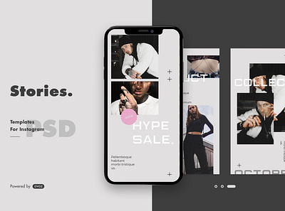 Instagram Story Template blog blogger clean instagram instagram post instagram posts instagram stories instagram story instagram story template minimal modern posts professional social media social media pack social media template stories stylish template trendy