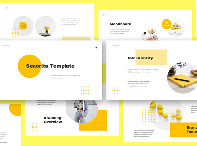 Senorita Brand Guideline Keynote agency brand guideline brand guideline keynote brand guidelines branding clean corporate guide guideline guidelines keynote brand guidelines keynote template minimal modern mood board moodboard netural pitch deck style template