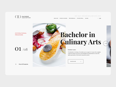 Ducasse Education clean education educational pastry user experience website