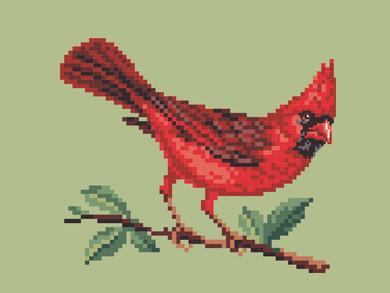 Pixels Birds birds cardinal illustration pixels swalow