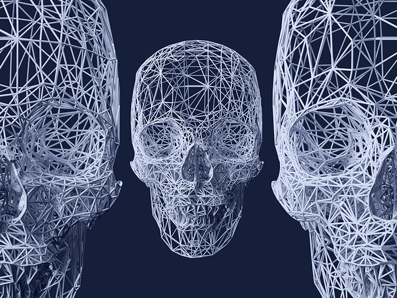 Virus connection grid net skull virus wireframe