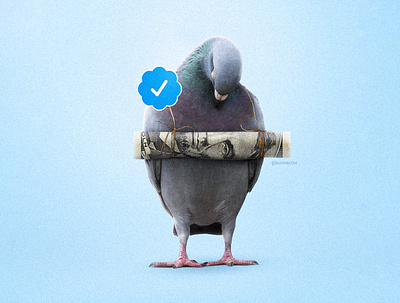 Paid $8. @twitter adobe art bird blue tick concept art conceptual art design dollar elon musk kunvector minimal twitter verify