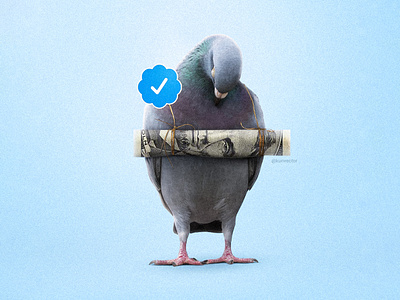 Paid $8. @twitter adobe art bird blue tick concept art conceptual art design dollar elon musk kunvector minimal twitter verify