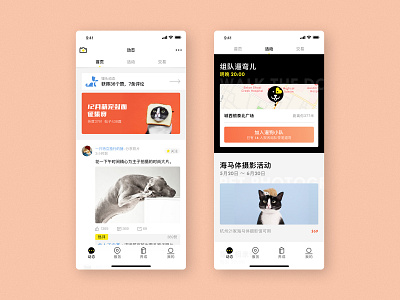 Pet service App app design pet app ui