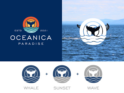 OCEANICA animal brand branding design dolphin fish icon identity illustration logo nature ocean orca sea water wave whale