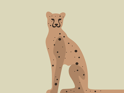 Leopard africa animal cat face illustration jaguar jungle leopard lion panther potrait procreate wild wildlife