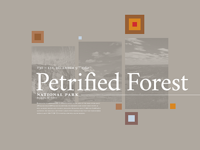 Petrified Forest National Park arizona az bay state design shop bsds crimson national parks nps petrified forest serif squares vintage west