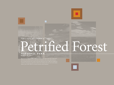 Petrified Forest National Park