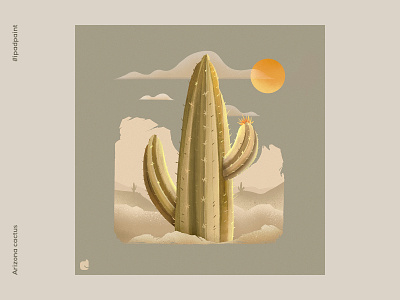 Arizona cactus abstract art artistic cactus digital art illustration illustrator imagination procreate art