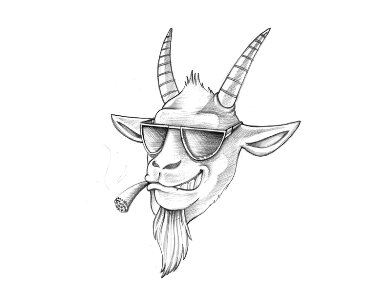 Premium Vector  Vector goat sketch outline illustration farm animal  isolated on white background