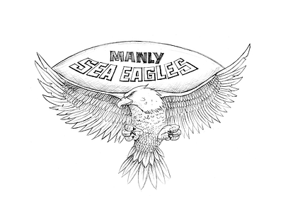 Manly Sea Eagles animal character concept drawing eagle koncept logo marine pocket sketch sketching