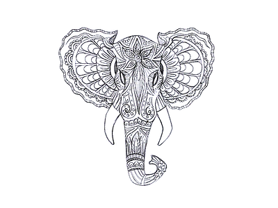 Elephant Sketch