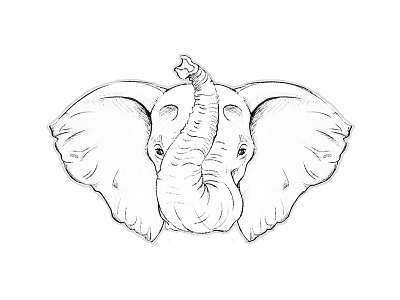 Elephant Sketch animal cartoon sketch drawing hand concept koncept pencil pencil sketch sketch sketching