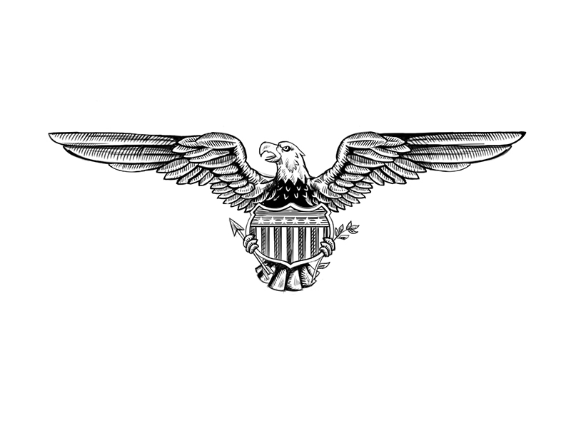 Eagle Logo Sketch Design by Koncept Makers on Dribbble