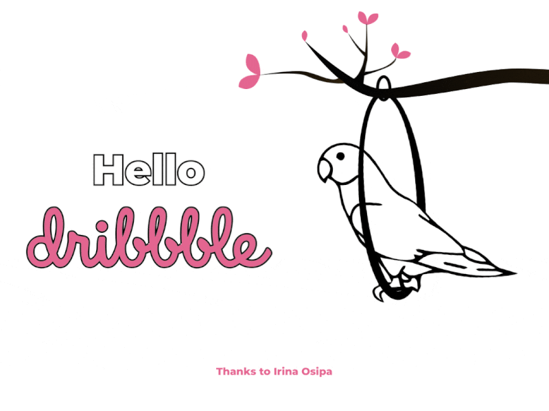 Hello Dribbble! animated animation debut design dribbble invite hello dribble parrot uidesign