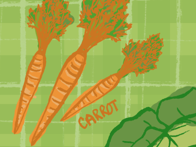 Too many carrots will turn you orange carrots color farms fresh hand drawn illustration organic raw vegetables