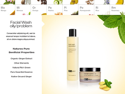 PCA Product products skin care