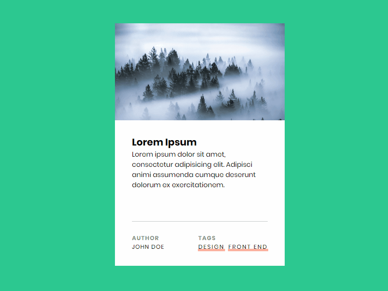 Card Hover Effect