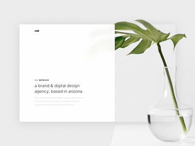 Odd Landing Page Concept agency brand digital minimal modern plant simple weird