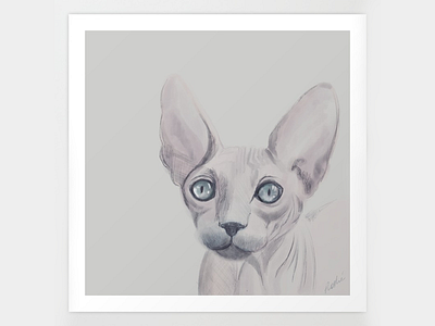 Naked Kitty blue eyes cat digital drawing freehand grey illustration kitten print sphynx