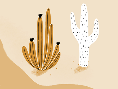 Map Crop - Cacti cacti cactus illustrated map illustration map