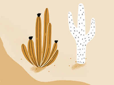 Map Crop - Cacti