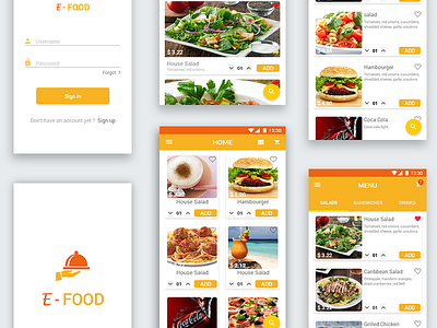 E-Food  Order App