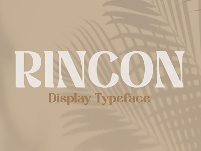 Rincon Font beach branding font display serif display type display typeface font fonts logo logotype modern modern font modern serif serif serif font serif font family serif fonts serif logo serif typeface tropical typography