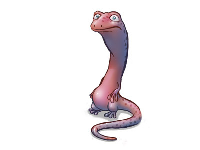 Salamander Character Design Sketch blue character design digital painting photoshop red salamander