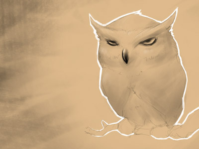 Owl Detail bird digital painting owl photoshop